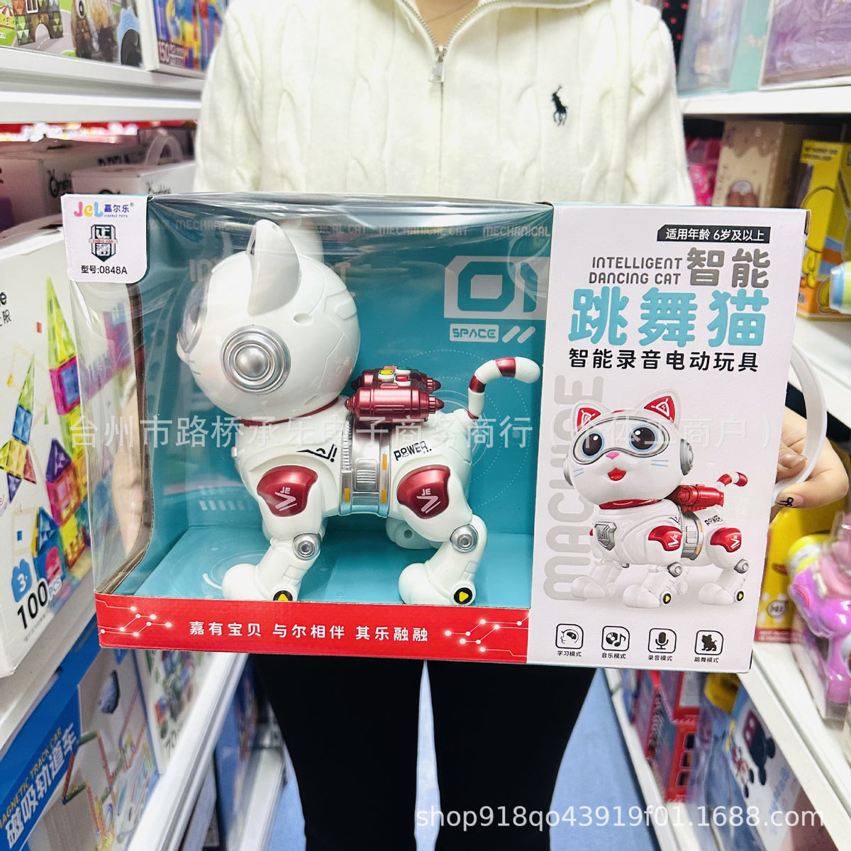 跳舞 AI 貓 實際外觀參考
