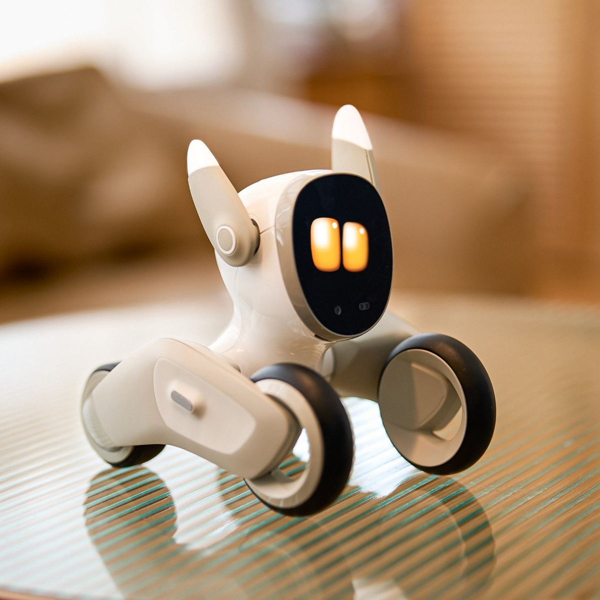 SKU1-robot-dog 場景／第二角度